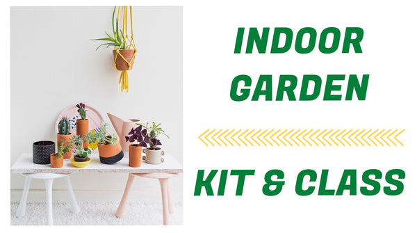 Indoor Gardening - Kit & Virtual Classes